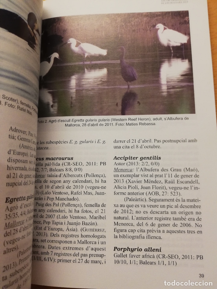 Libros de segunda mano: ANUARI ORNITOL&Ograve;GIC DE LES BALEARS 2013 (VOLUM 28) - Foto 6