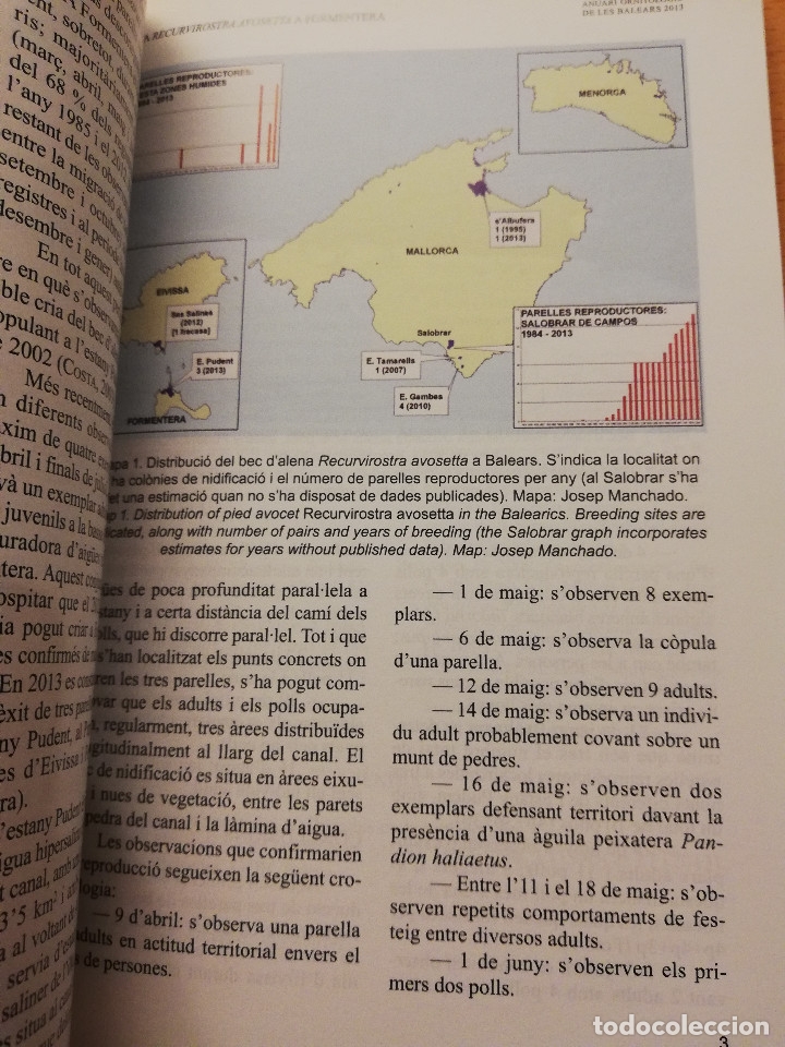 Libros de segunda mano: ANUARI ORNITOL&Ograve;GIC DE LES BALEARS 2013 (VOLUM 28) - Foto 9