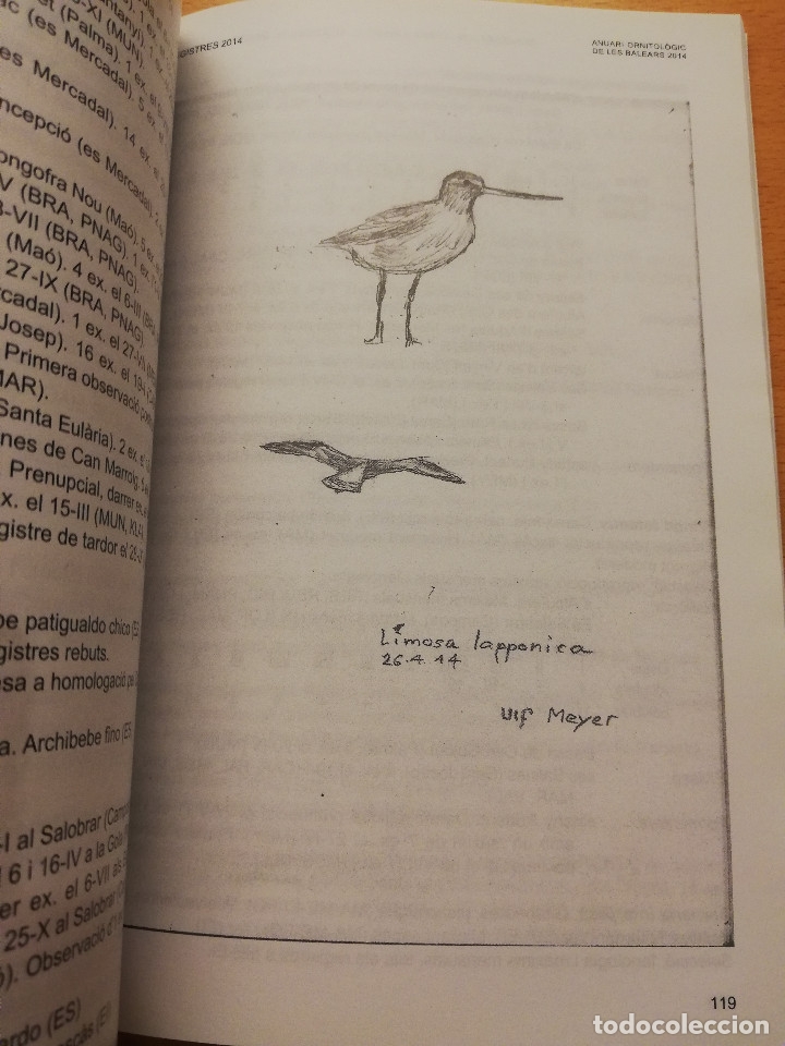 Libros de segunda mano: ANUARI ORNITOL&Ograve;GIC DE LES BALEARS 2014 (VOLUM 29) - Foto 3