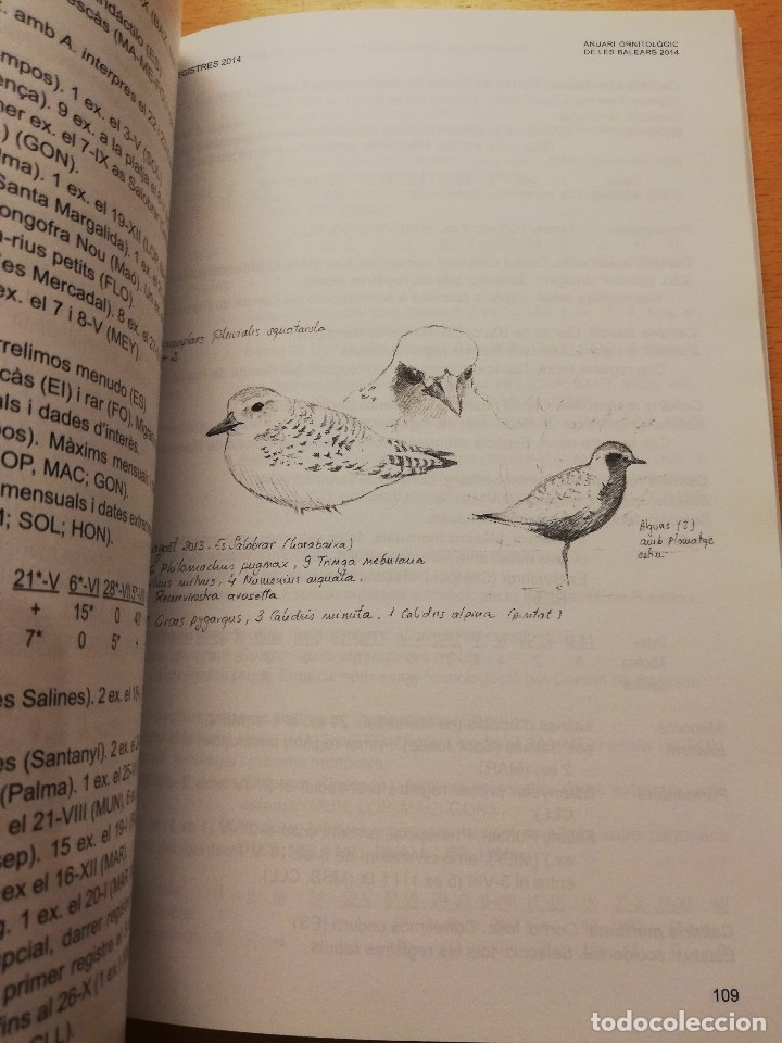 Libros de segunda mano: ANUARI ORNITOL&Ograve;GIC DE LES BALEARS 2014 (VOLUM 29) - Foto 4