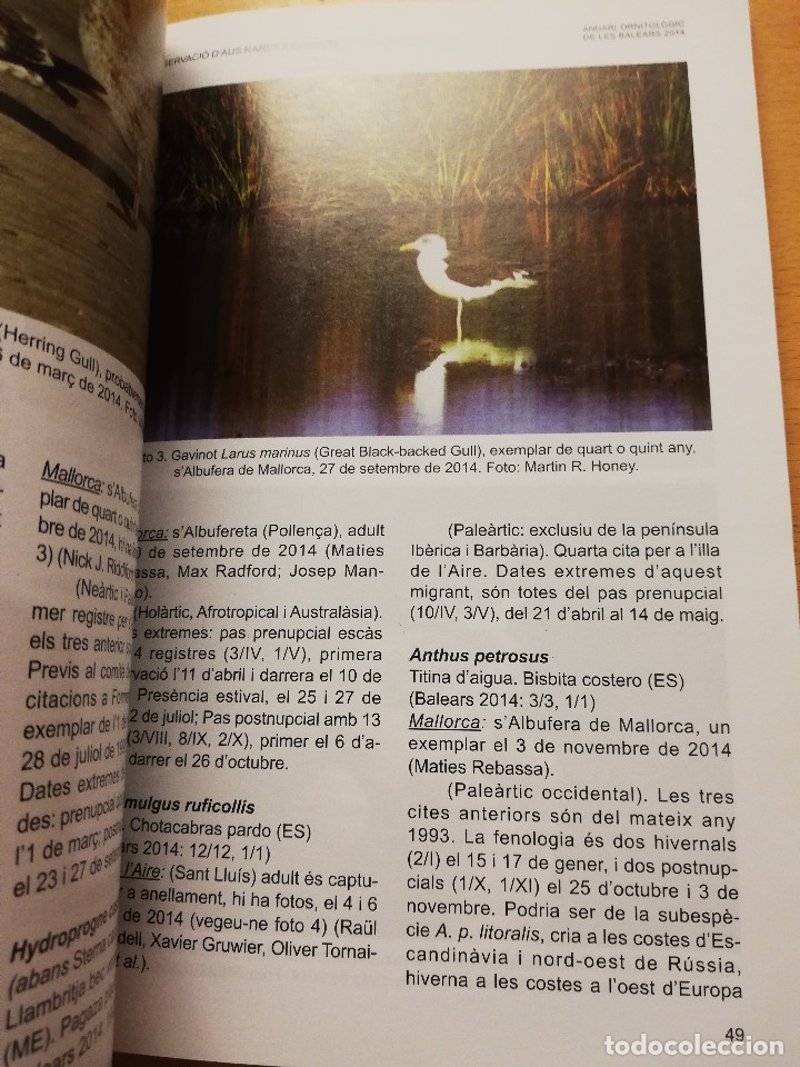 Libros de segunda mano: ANUARI ORNITOL&Ograve;GIC DE LES BALEARS 2014 (VOLUM 29) - Foto 6