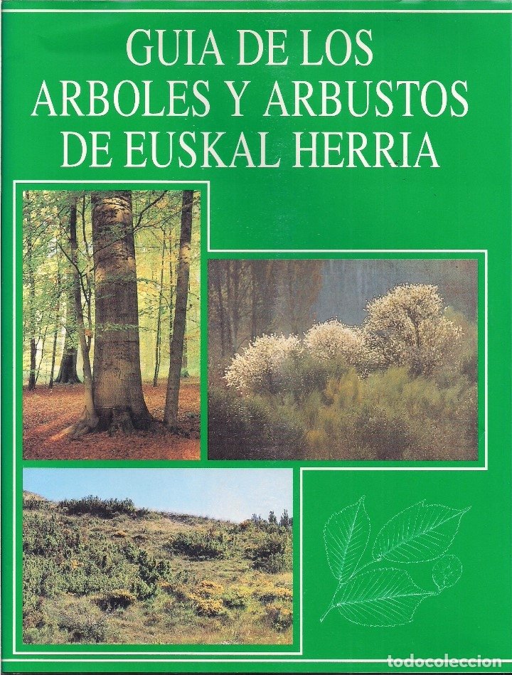 guia de los arboles y arbustos de euskal herria - Comprar Libros de  biología y botánica de segunda mano en todocoleccion - 177989233