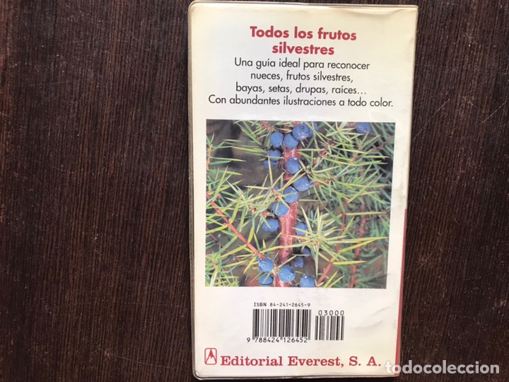 Libros de segunda mano: Flores silvestres. &Uacute;rsula Niklas. Everest - Foto 2