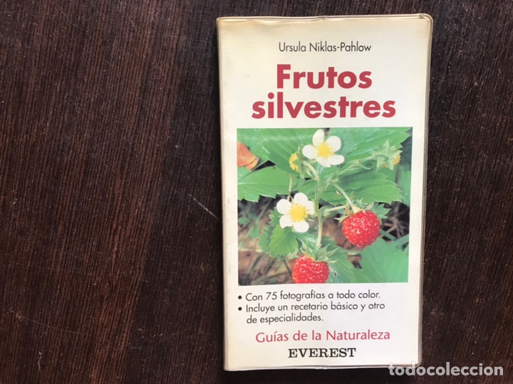 Libros de segunda mano: Flores silvestres. &Uacute;rsula Niklas. Everest - Foto 1
