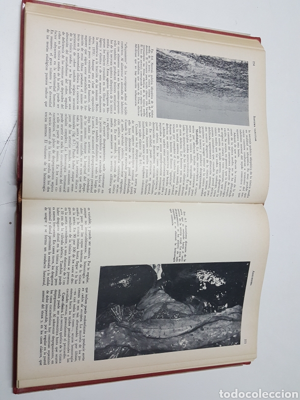 Libros de segunda mano: Patologia basica - Robbins Angell - Foto 2