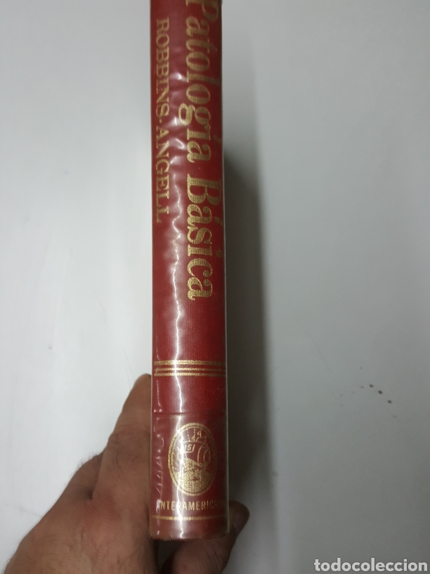 Libros de segunda mano: Patologia basica - Robbins Angell - Foto 3