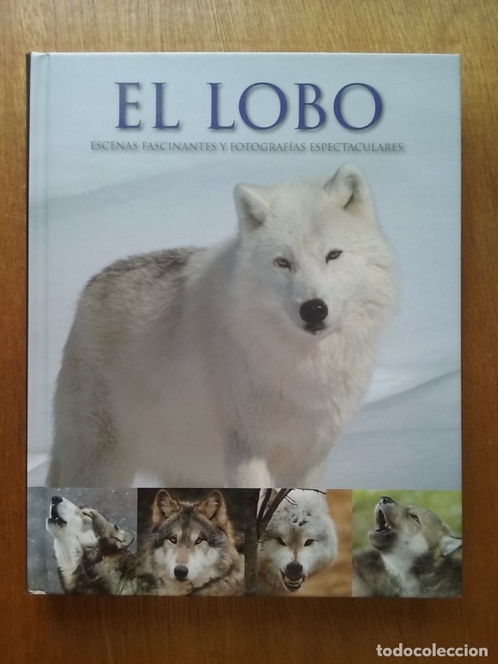 Livres d'occasion: EL LOBO, ESCENAS FASCINANTES Y FOTOGRAFIAS ESPECTACULARES, SHAUN ELLIS, MONTY SLOAN, PARRAGON