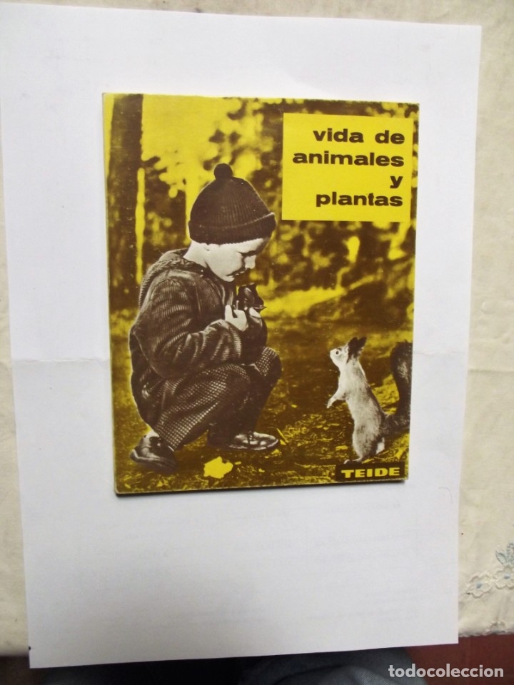 Libros de segunda mano: VIDA DE ANIMALES Y PLANTAS TEIDE - Foto 1