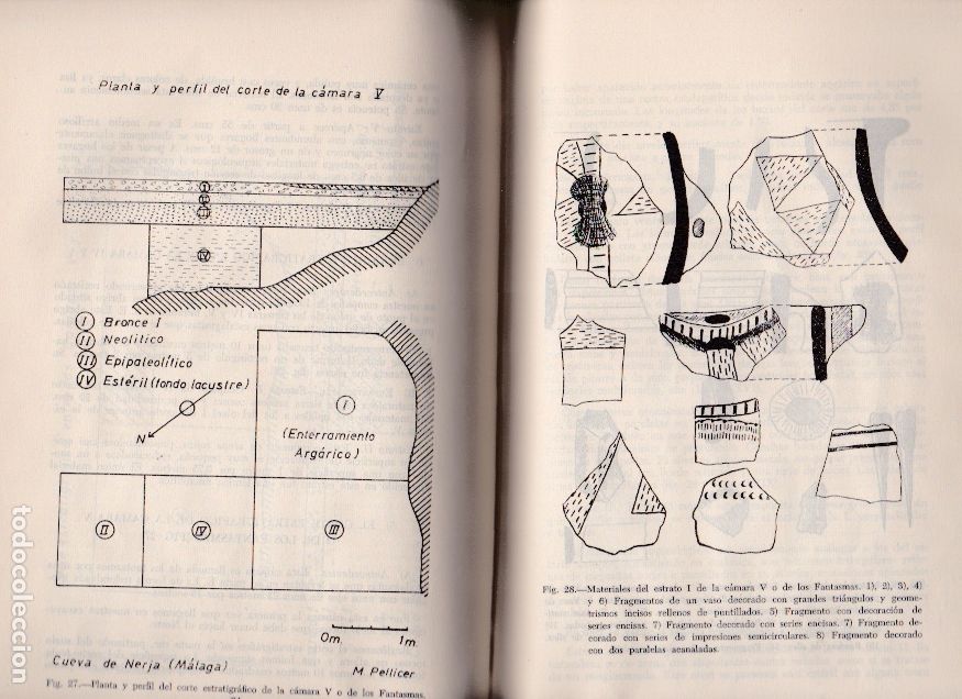Libros de segunda mano: La cueva de Nerja / Sime&oacute;n Gim&eacute;nez Reyna - 1964 - Foto 3