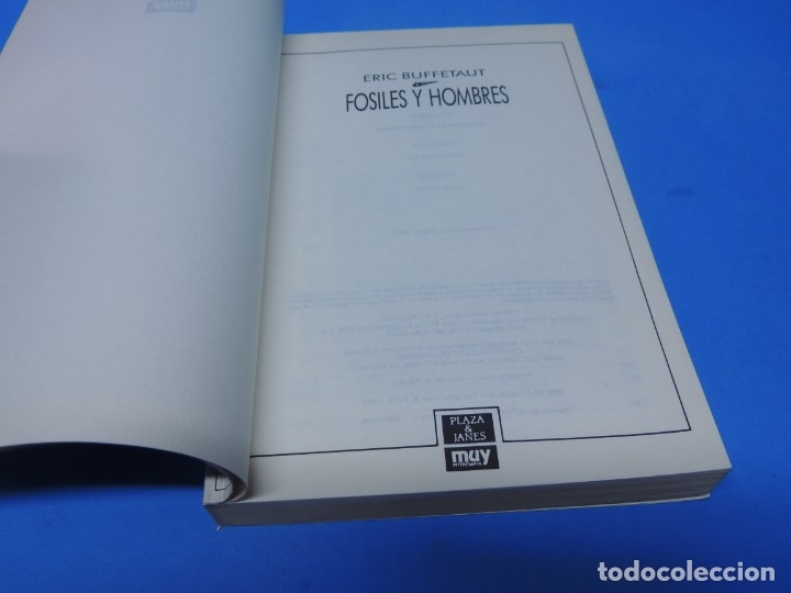 Libros de segunda mano: F&Oacute;SILES Y HOMBRES.- ERIC BUFFEAUT - Foto 2