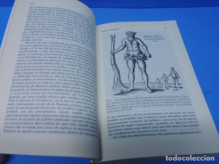 Libros de segunda mano: F&Oacute;SILES Y HOMBRES.- ERIC BUFFEAUT - Foto 5