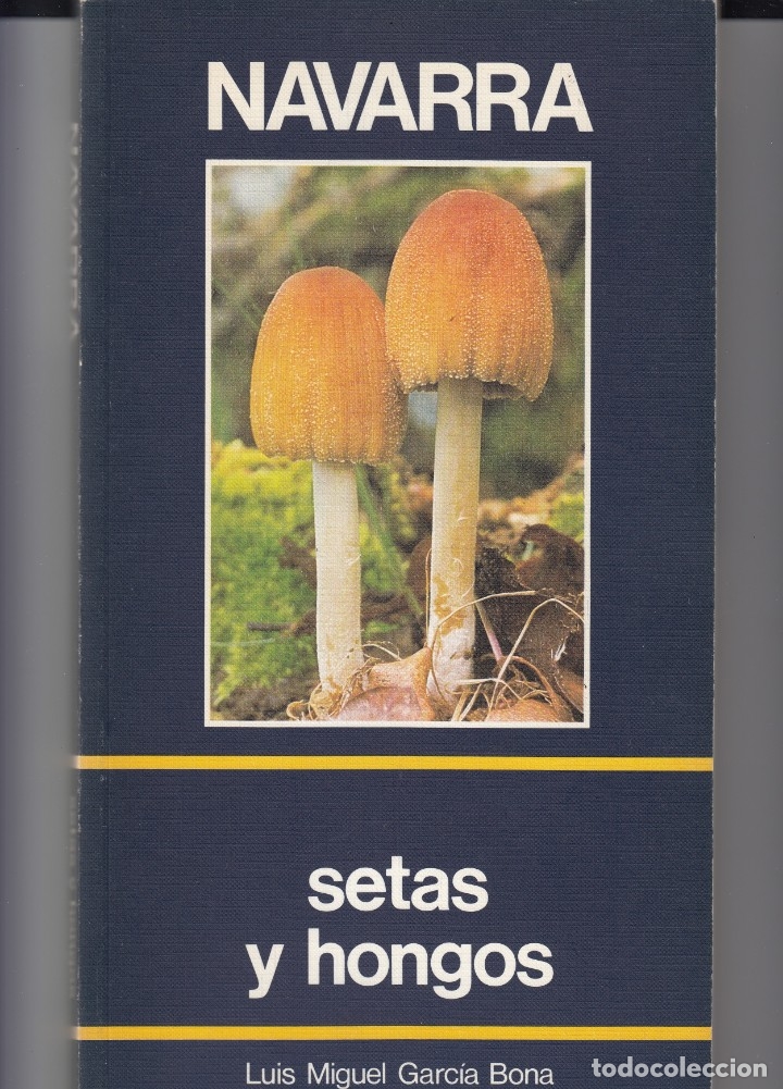 Libros de segunda mano: NAVARRA-SETAS Y HONGOS. - AAI - Foto 1