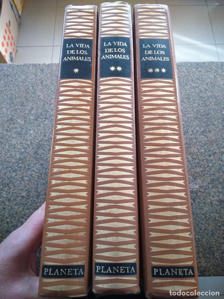 Libros de segunda mano: LA VIDA DE LOS ANIMALES -- 3 TOMOS COMPLETA -- PLANETA 1972 -- - Foto 1