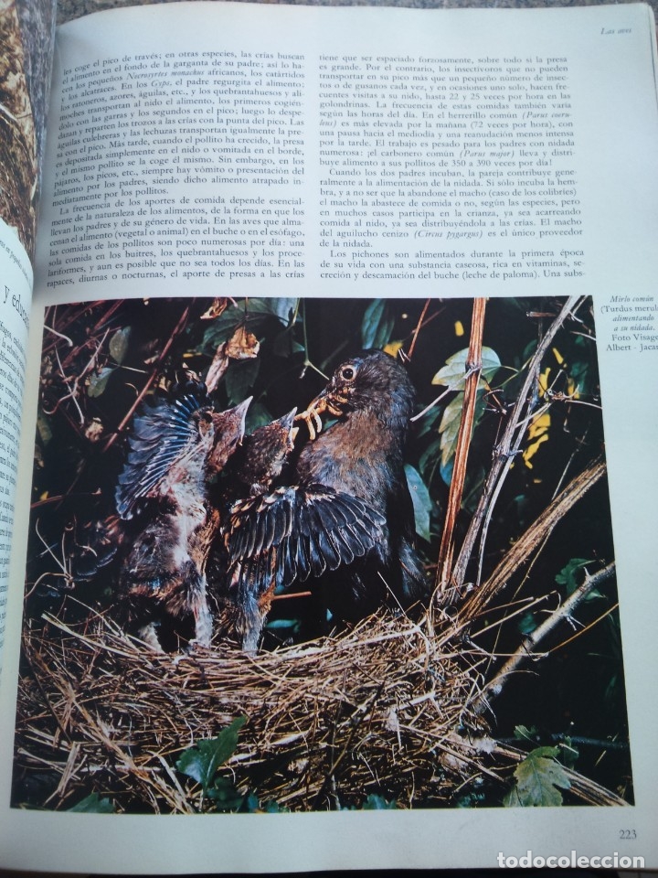 Libros de segunda mano: LA VIDA DE LOS ANIMALES -- 3 TOMOS COMPLETA -- PLANETA 1972 -- - Foto 3
