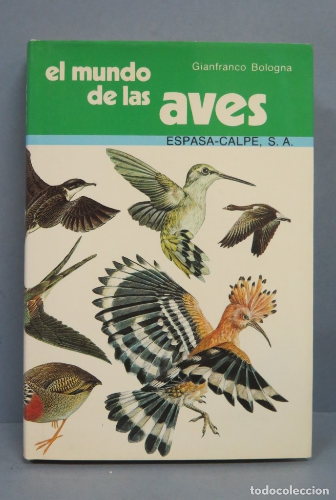 Libros de segunda mano: EL MUNDO DE LAS AVES. GIANFRANCO BOLOGNA - Foto 1