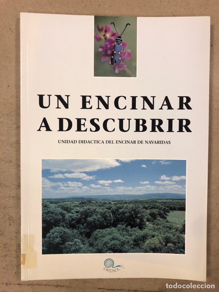 Libri di seconda mano: UN ENCINAR A DESCUBRIR, UNIDAD DID&Aacute;CTICA DEL ENVINAR DE NAVARIDAS. DIPUTACI&Oacute;N FORAL DE ALAVA
