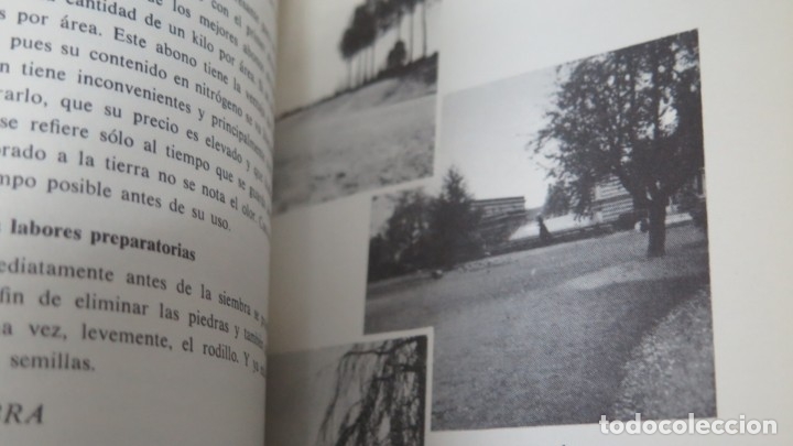 Libros de segunda mano: CESPEDES. MIS AMIGAS LAS FLORES - Foto 2