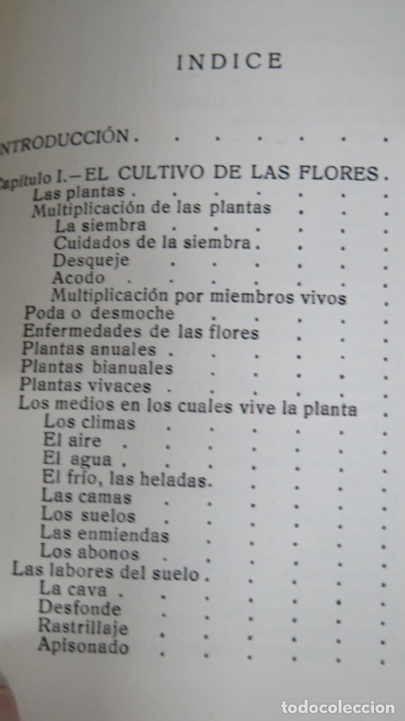 Libros de segunda mano: TUS FLORES. SINTES - Foto 2