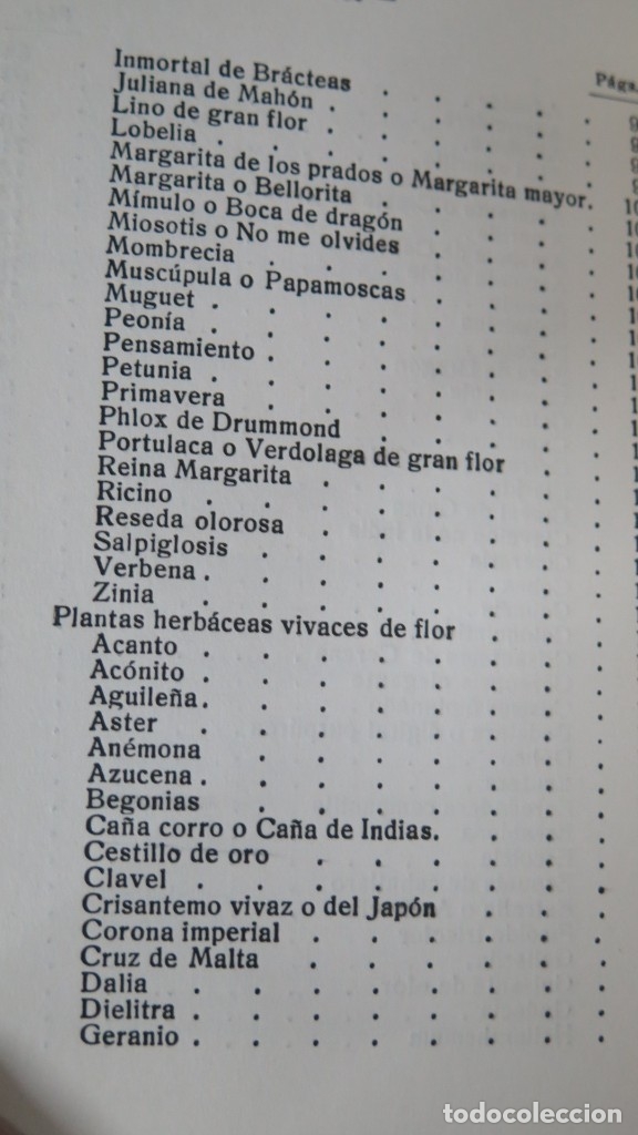 Libros de segunda mano: TUS FLORES. SINTES - Foto 5