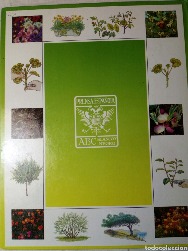 Libros de segunda mano: EL LIBRO DE ORO DE LAS PLANTAS Y LOS JARDINES - Foto 2