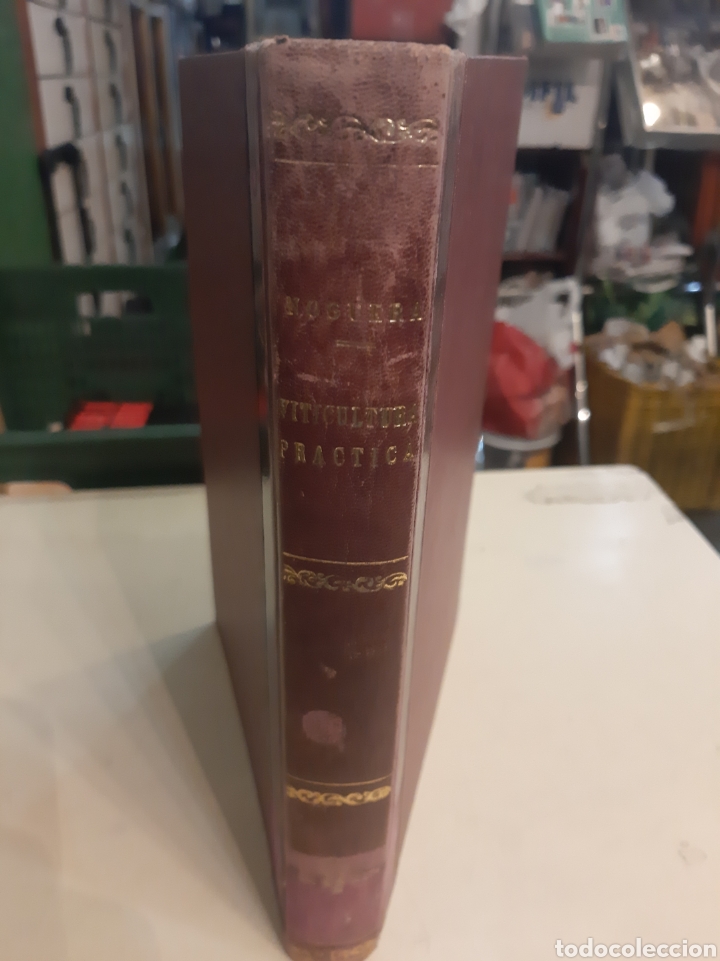 Libri di seconda mano: Viticultura pratica Jos&eacute; Noguera Pujol Dilagro Lerida 1980 descatalogado biblioteca