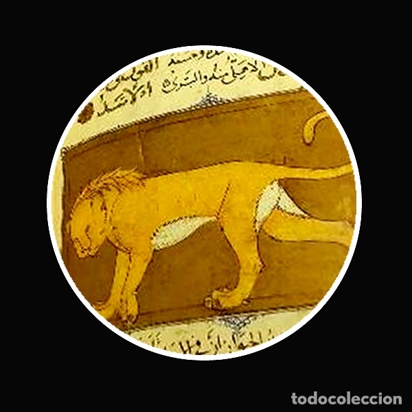 Libros de segunda mano: AL-MAWSILI, IBN AL-DURAYHIM: LIBRO DE LA UTILIDAD DE LOS ANIMALES. FACS&Iacute;MIL - Foto 3