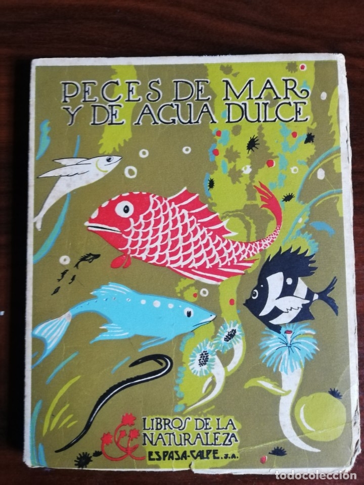 Libros de segunda mano: Peces de mar y agua dulce. &Aacute;ngel Cabrera - Foto 1