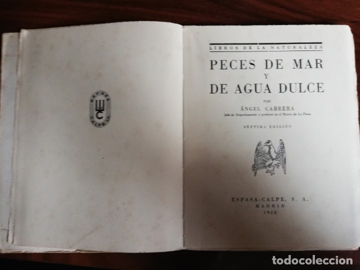 Libros de segunda mano: Peces de mar y agua dulce. &Aacute;ngel Cabrera - Foto 2