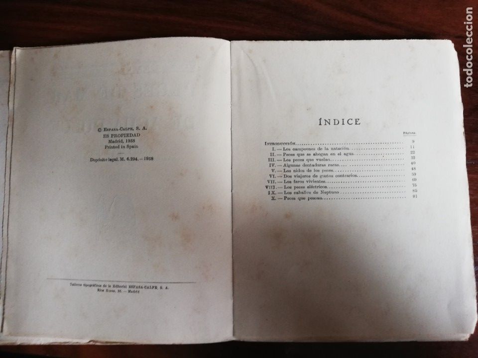 Libros de segunda mano: Peces de mar y agua dulce. &Aacute;ngel Cabrera - Foto 3