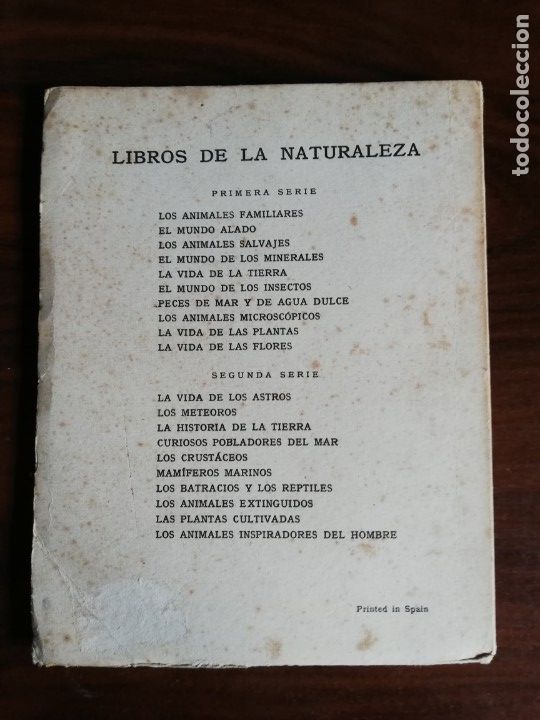 Libros de segunda mano: Peces de mar y agua dulce. &Aacute;ngel Cabrera - Foto 5