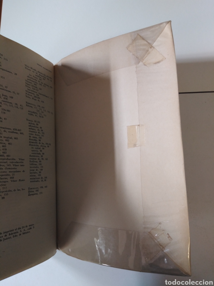 Libros de segunda mano: Bot&aacute;nica / Fuller, Carothers, Payne y Balbach - Foto 4
