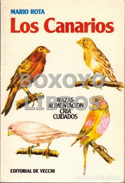 Libros de segunda mano: ROTA, Mario. Los canarios. Raza. Alimentaci&oacute;n. Cr&iacute;a. Cuidados - Foto 1
