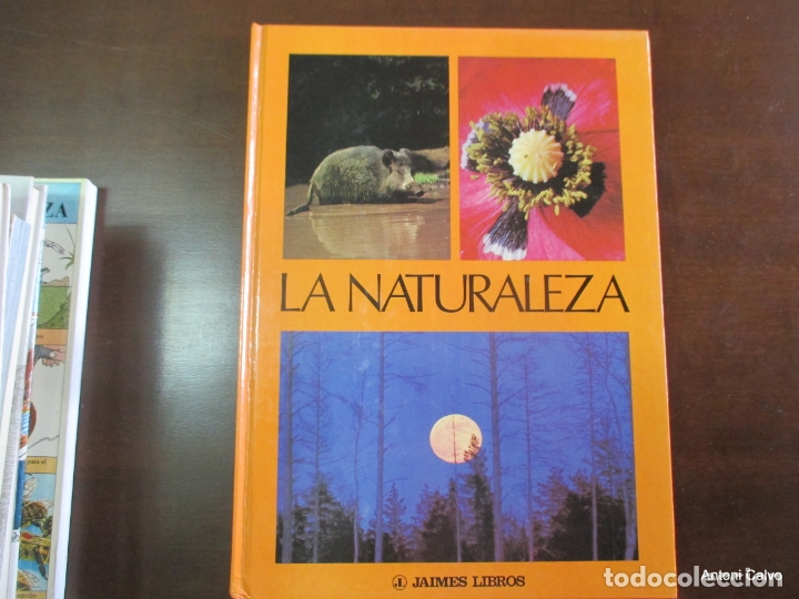 Libros de segunda mano: La naturaleza. AMV. - Foto 1