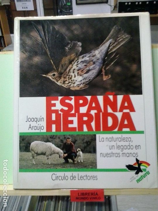 Libros de segunda mano: Espa&ntilde;a herida. Joaqu&iacute;n Ara&uacute;jo - Foto 1