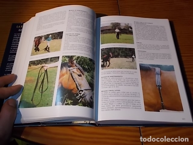 Libros de segunda mano: LA ENCICLOPEDIA DE LOS CABALLOS . JOS&Eacute;E HERMSEN . LIBSA . 2002 . - Foto 10