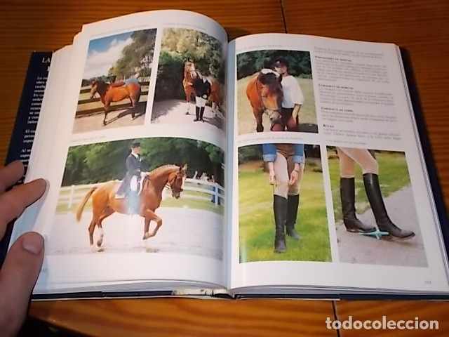 Libros de segunda mano: LA ENCICLOPEDIA DE LOS CABALLOS . JOS&Eacute;E HERMSEN . LIBSA . 2002 . - Foto 11