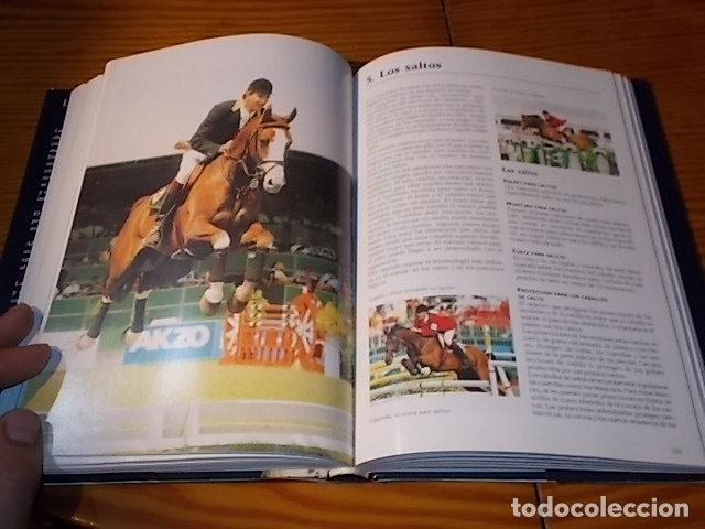 Libros de segunda mano: LA ENCICLOPEDIA DE LOS CABALLOS . JOS&Eacute;E HERMSEN . LIBSA . 2002 . - Foto 12