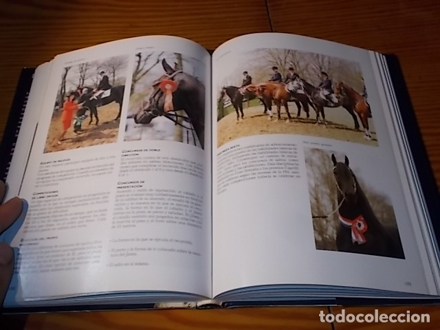 Libros de segunda mano: LA ENCICLOPEDIA DE LOS CABALLOS . JOS&Eacute;E HERMSEN . LIBSA . 2002 . - Foto 13