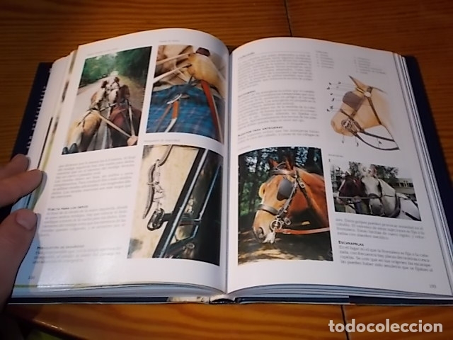 Libros de segunda mano: LA ENCICLOPEDIA DE LOS CABALLOS . JOS&Eacute;E HERMSEN . LIBSA . 2002 . - Foto 14
