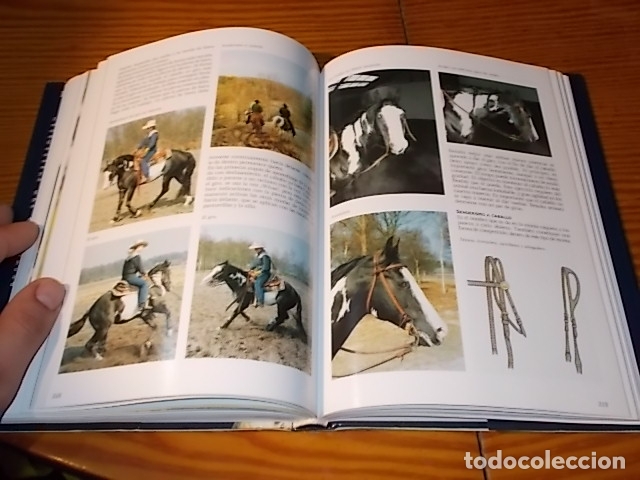 Libros de segunda mano: LA ENCICLOPEDIA DE LOS CABALLOS . JOS&Eacute;E HERMSEN . LIBSA . 2002 . - Foto 15