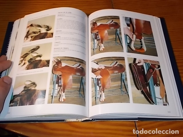 Libros de segunda mano: LA ENCICLOPEDIA DE LOS CABALLOS . JOS&Eacute;E HERMSEN . LIBSA . 2002 . - Foto 16