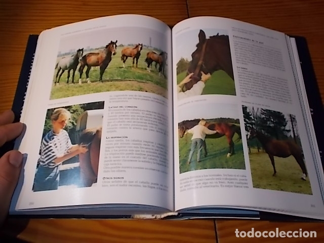 Libros de segunda mano: LA ENCICLOPEDIA DE LOS CABALLOS . JOS&Eacute;E HERMSEN . LIBSA . 2002 . - Foto 17