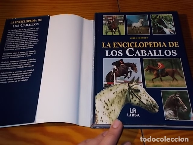 Libros de segunda mano: LA ENCICLOPEDIA DE LOS CABALLOS . JOS&Eacute;E HERMSEN . LIBSA . 2002 . - Foto 19