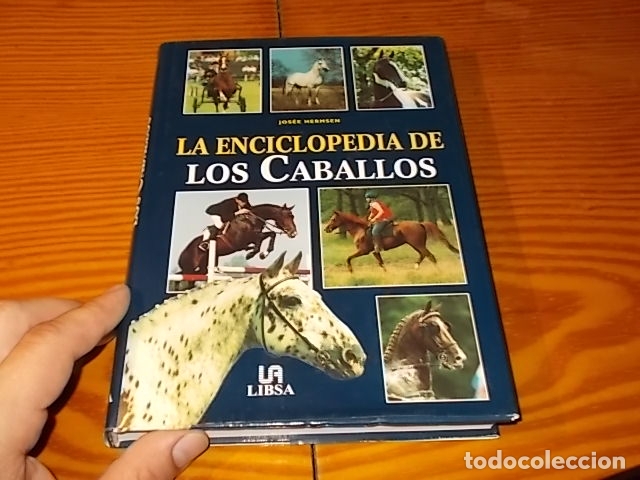 Libros de segunda mano: LA ENCICLOPEDIA DE LOS CABALLOS . JOS&Eacute;E HERMSEN . LIBSA . 2002 . - Foto 1