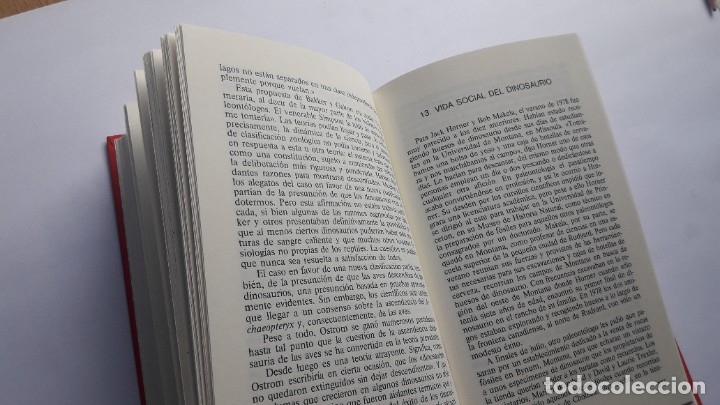 Libros de segunda mano: EL ENIGMA DE LOS DINOSAURIOS. J. N. WILFORD. Estado impecable. - Foto 4