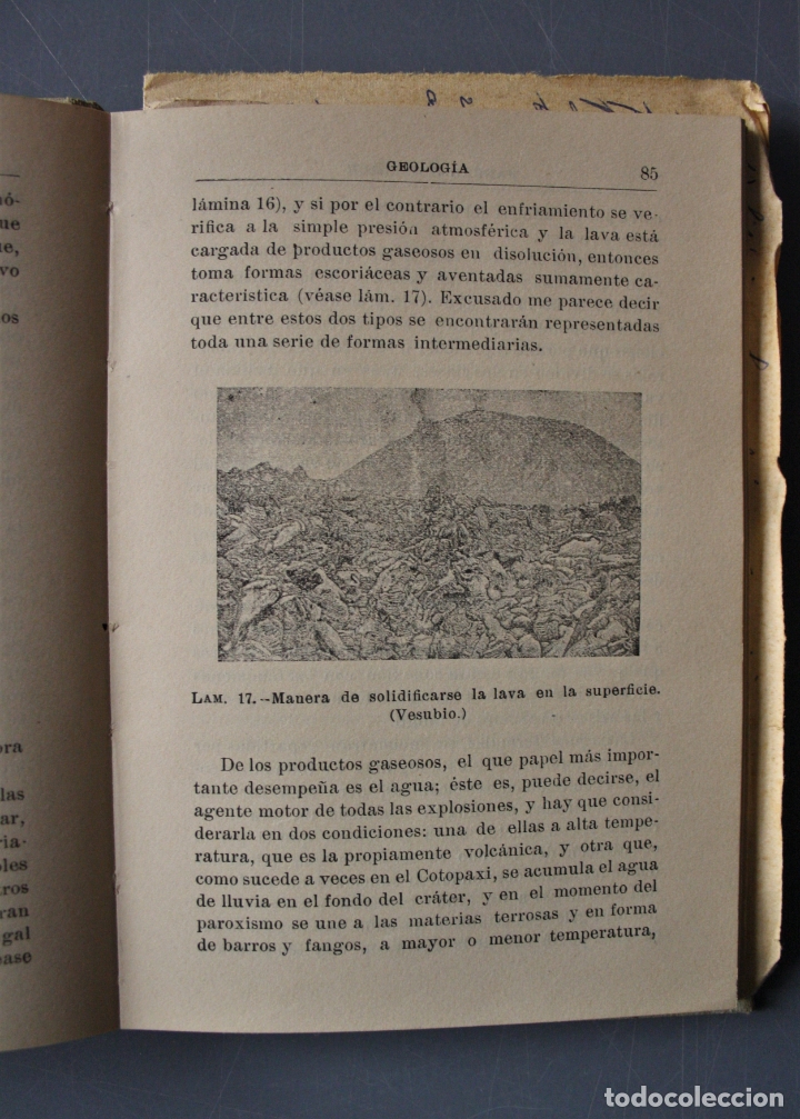 Libros de segunda mano: Geolog&iacute;a. Jos&eacute; Macpherson. Ed. Calpe.  Madrid - Jos&eacute; Macpherson - Foto 5