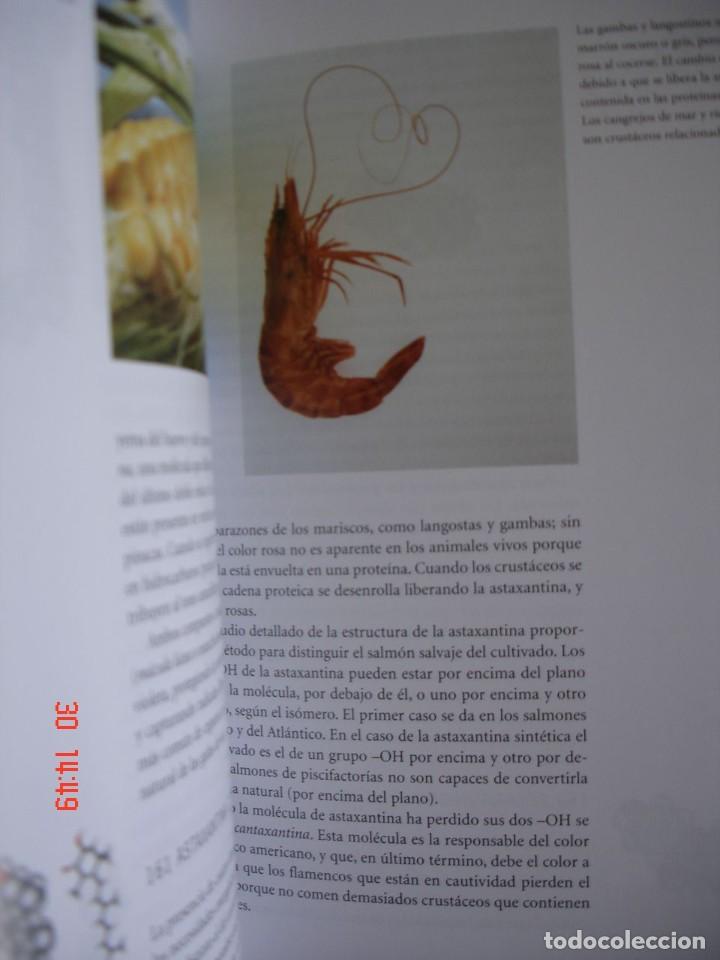 Libros de segunda mano de ciencias: LAS MOL&Eacute;CULAS DE ATKINS - PETER ATKINS - EDICIONES AKAL, 2007 - COMO NUEVO - Foto 3