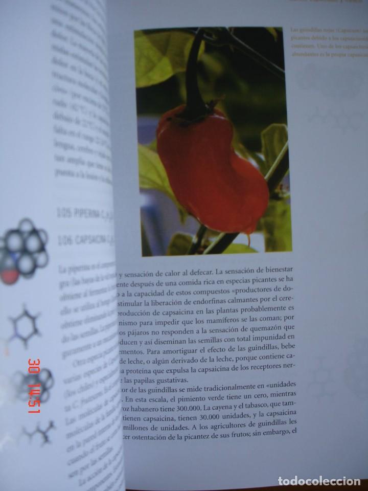 Libros de segunda mano de ciencias: LAS MOL&Eacute;CULAS DE ATKINS - PETER ATKINS - EDICIONES AKAL, 2007 - COMO NUEVO - Foto 7