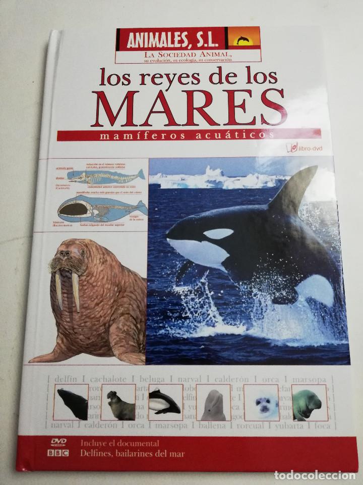 Libros de segunda mano: LOS REYES DE LOS MARES. MAM&Iacute;FEROS ACU&Aacute;TICOS (LIBRO - DVD) - Foto 1