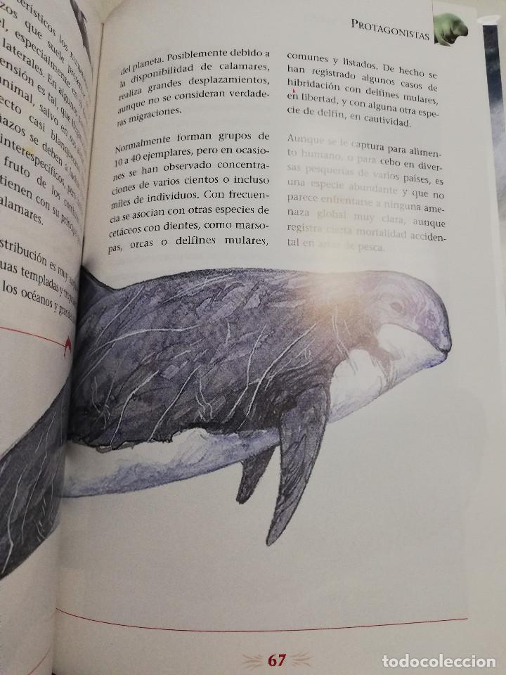 Libros de segunda mano: LOS REYES DE LOS MARES. MAM&Iacute;FEROS ACU&Aacute;TICOS (LIBRO - DVD) - Foto 4